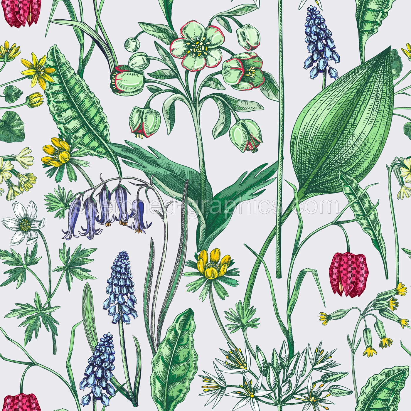 Spring flowers seamless pattern. Wildflowers background. Forest plant, greenery, wild flowers sketches. Hand drawn vector illustration. Not AI-generated Illustration
